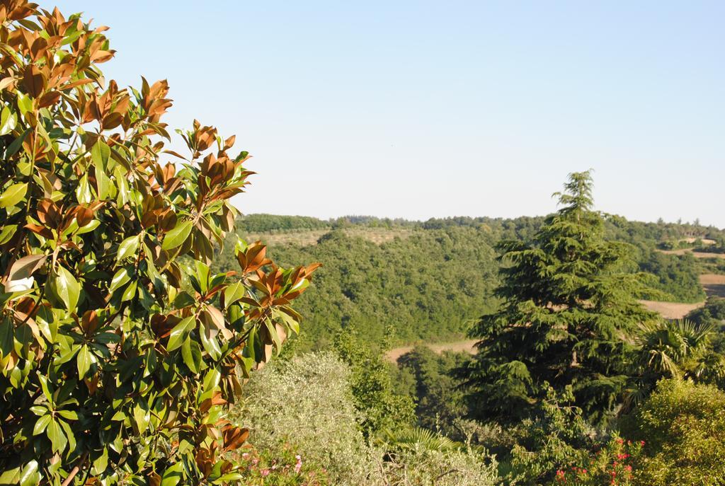 Villa Il Gelsomino Del Perugino Città della Pieve Exterior foto